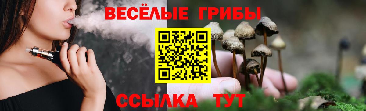 Псилоцибиновые грибы Psilocybine cubensis  Псилоцибиновые грибы Cubensis  Ейск  Вход с VPN 